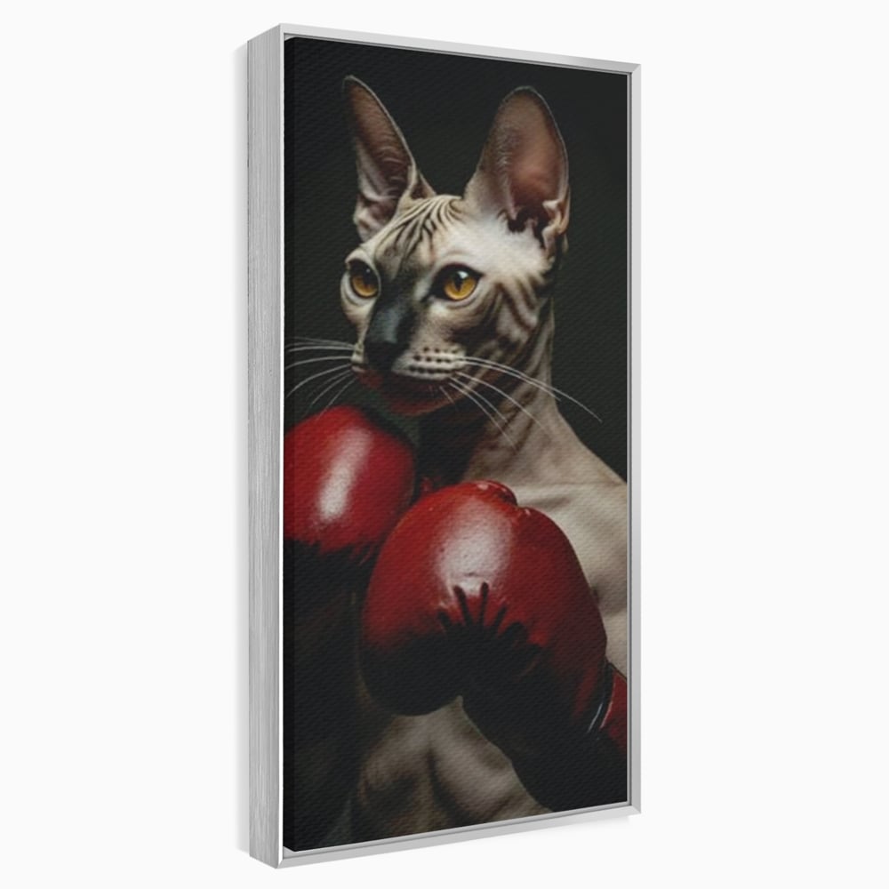 Tablou canvas cu tablou canvas cu motan sphynx boxer, in rama de aluminiu argintiu